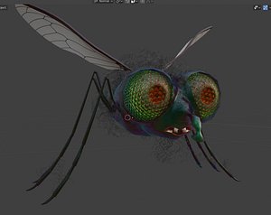 3D model fly rigged