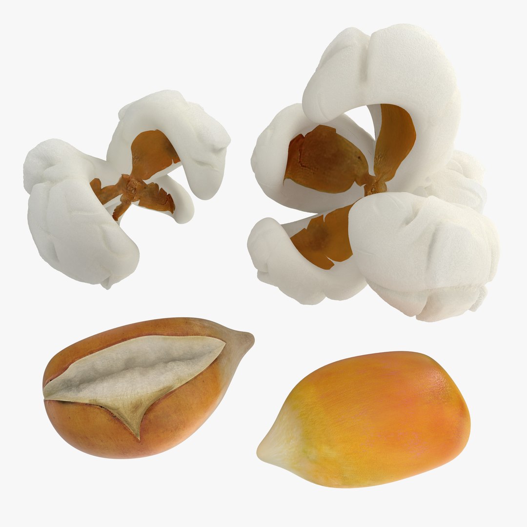 Popcorn Evolution Set 3D model preview