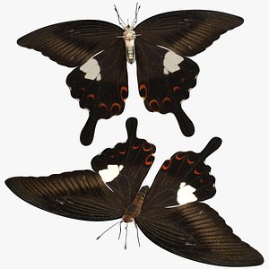 Rigged redHelen 3D model