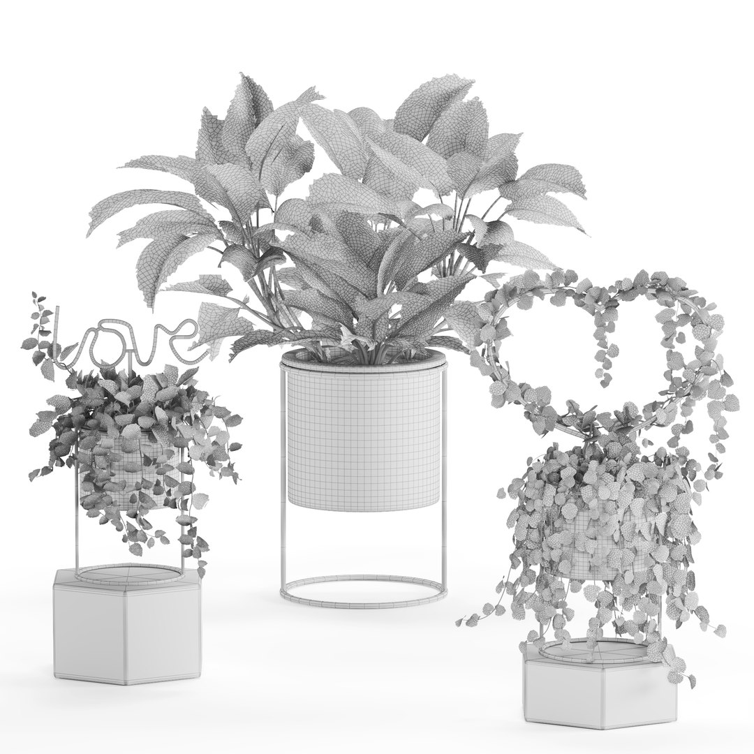 Indoor Plant Valentine set04 3D https://p.turbosquid.com/ts-thumb/Uo/4QlW75/3x/z06/jpg/1707578989/1920x1080/fit_q87/c66ea6c4c22a69765861938278b82261c1f1594f/z06.jpg