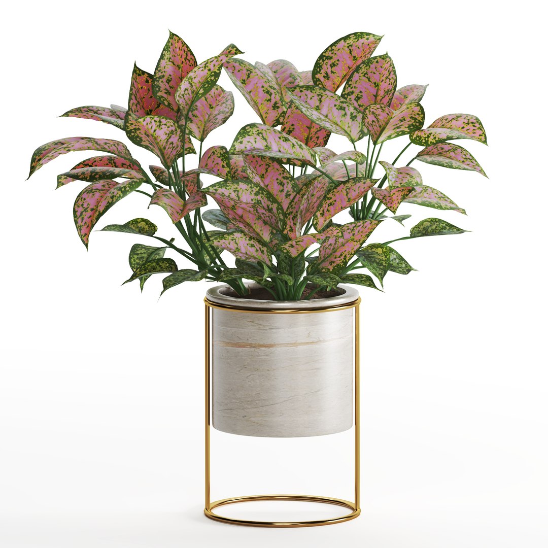 Indoor Plant Valentine set04 3D https://p.turbosquid.com/ts-thumb/Uo/4QlW75/GL/z02/jpg/1707578987/1920x1080/fit_q87/17a7be8f1fed4b74bb776a4900c2b2330acf27d8/z02.jpg