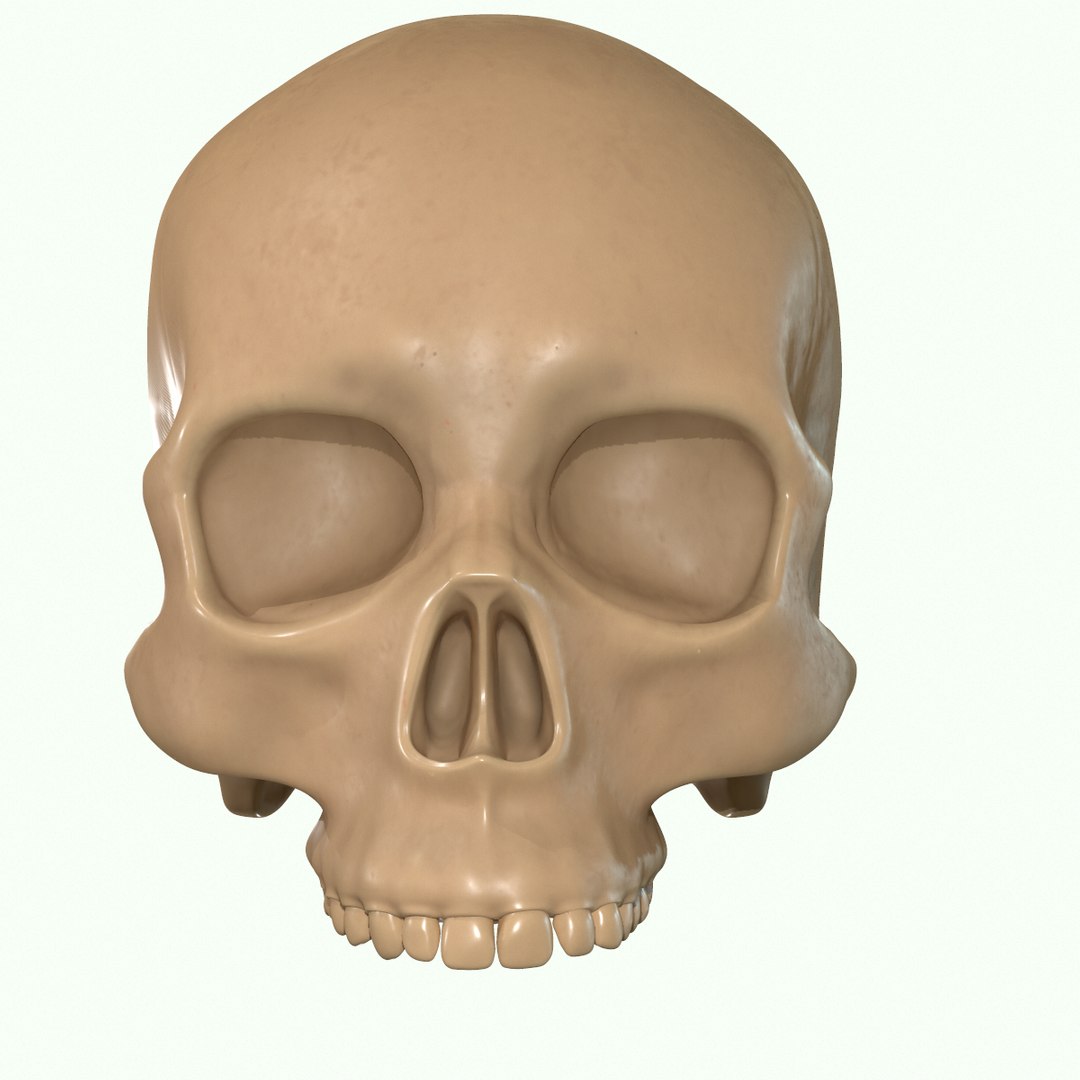 modeled muscles face anatomy 3D https://p.turbosquid.com/ts-thumb/Uo/Ui6HTQ/5StKmRF4/37/png/1560428775/1920x1080/fit_q87/dfe3e2bfbb73158b93a84f1856c2ab992dbb6a85/37.jpg