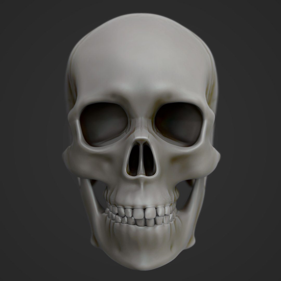 modeled muscles face anatomy 3D https://p.turbosquid.com/ts-thumb/Uo/Ui6HTQ/AN9cmnKO/4/png/1563093343/1920x1080/fit_q87/25a1e2e7eda41d0f87927ffd0147804d7a89f23d/4.jpg