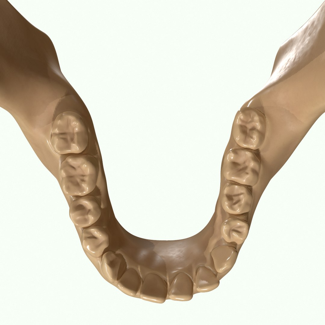modeled muscles face anatomy 3D https://p.turbosquid.com/ts-thumb/Uo/Ui6HTQ/GCZB4m4N/50/png/1560428776/1920x1080/fit_q87/f18a2c04aeea1e84596fa7e0338e78c79d001d97/50.jpg