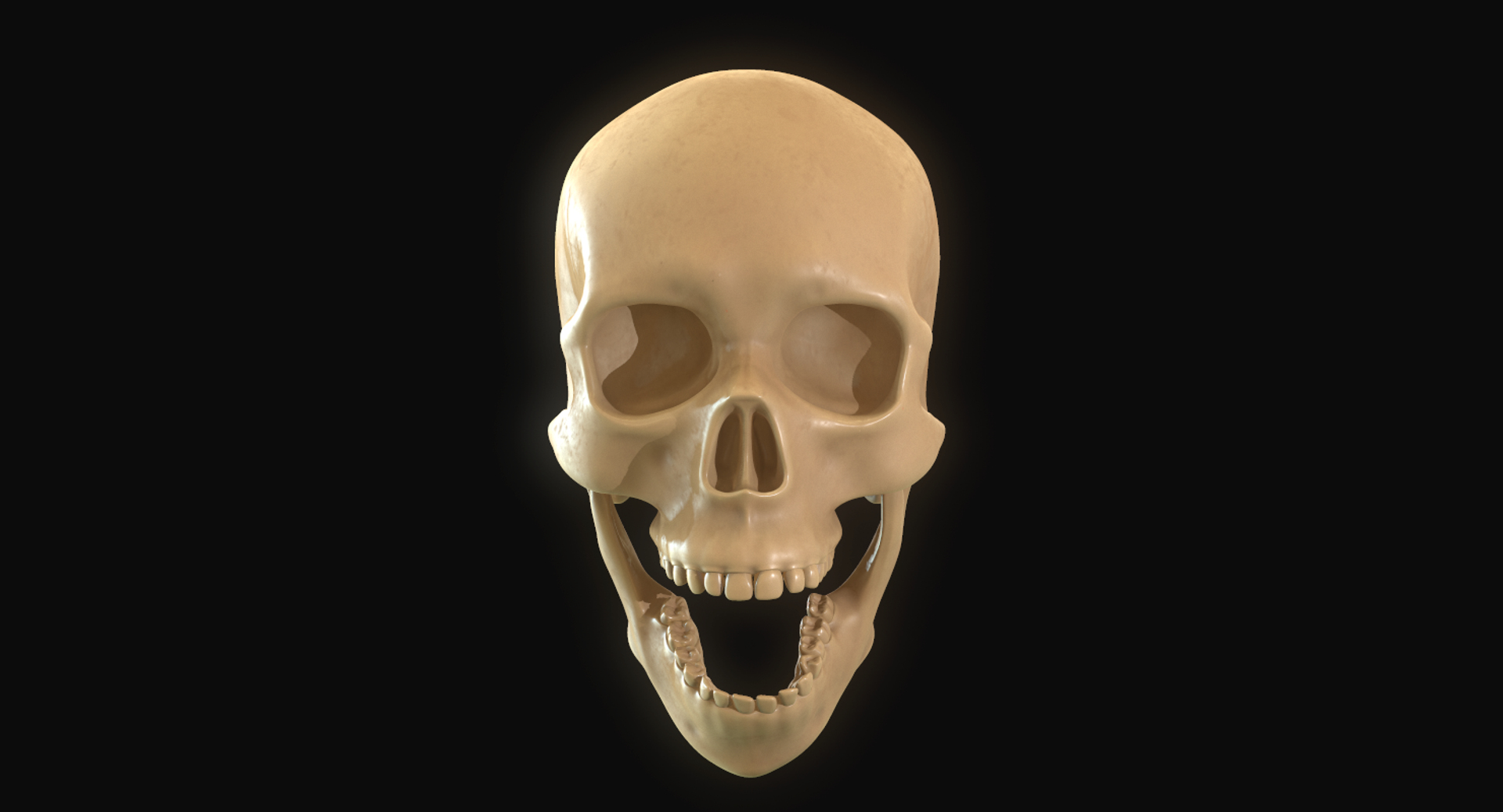 modeled muscles face anatomy 3D https://p.turbosquid.com/ts-thumb/Uo/Ui6HTQ/OrAkBH3B/1/png/1560440609/1920x1080/turn_fit_q99/2dbe0fb2a6f02631b618ab6963d02acf0e44e1d1/1-1.jpg