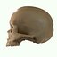 Full Head Muscle Anatomy