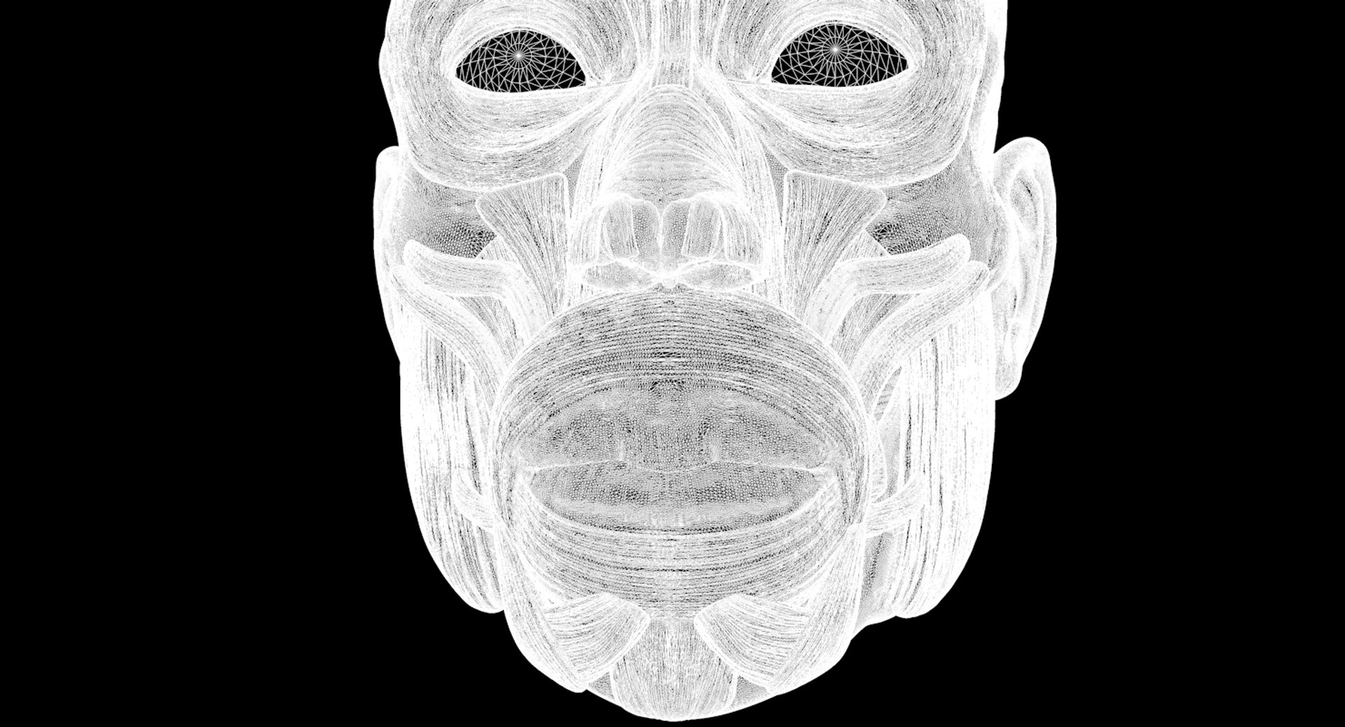 modeled muscles face anatomy 3D https://p.turbosquid.com/ts-thumb/Uo/Ui6HTQ/d8khMjq2/w3/png/1560428776/1920x1080/fit_q87/c5c9f01e02b36b5f1940724e3aa9d0ac7a546adf/w3.jpg