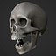 Full Head Muscle Anatomy