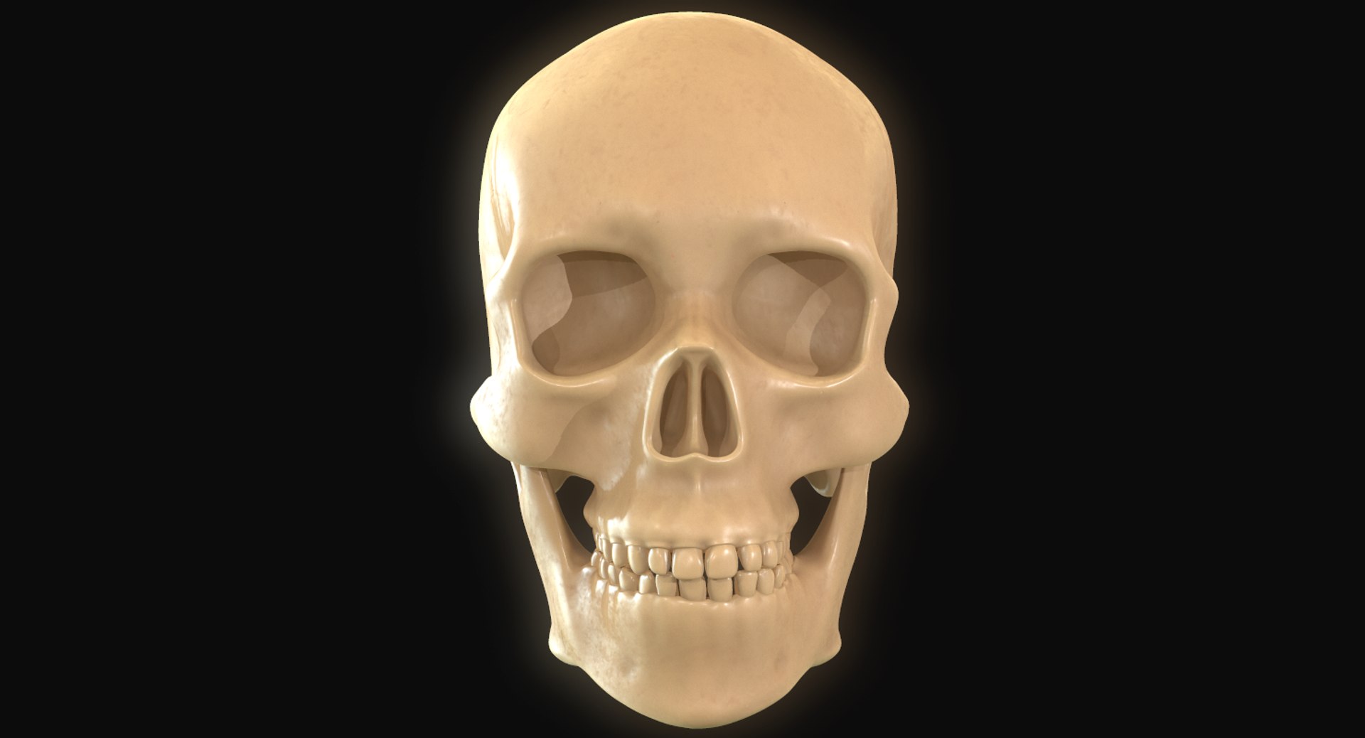 modeled muscles face anatomy 3D https://p.turbosquid.com/ts-thumb/Uo/Ui6HTQ/khWsw5Rv/17/png/1560440403/1920x1080/fit_q87/806ef3e8066698b0aa259a52a24d4ff1adcfbec9/17.jpg