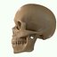 Full Head Muscle Anatomy