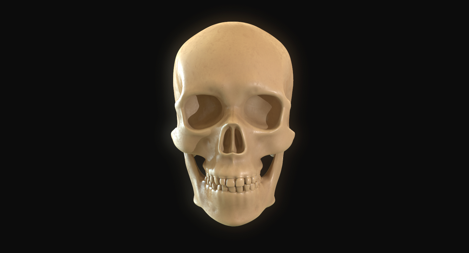 modeled muscles face anatomy 3D https://p.turbosquid.com/ts-thumb/Uo/Ui6HTQ/ss9Xc7z2/1/png/1560440574/1920x1080/turn_fit_q99/022000e55450c3a564199a184b9b6dfa80564ea8/1-1.jpg