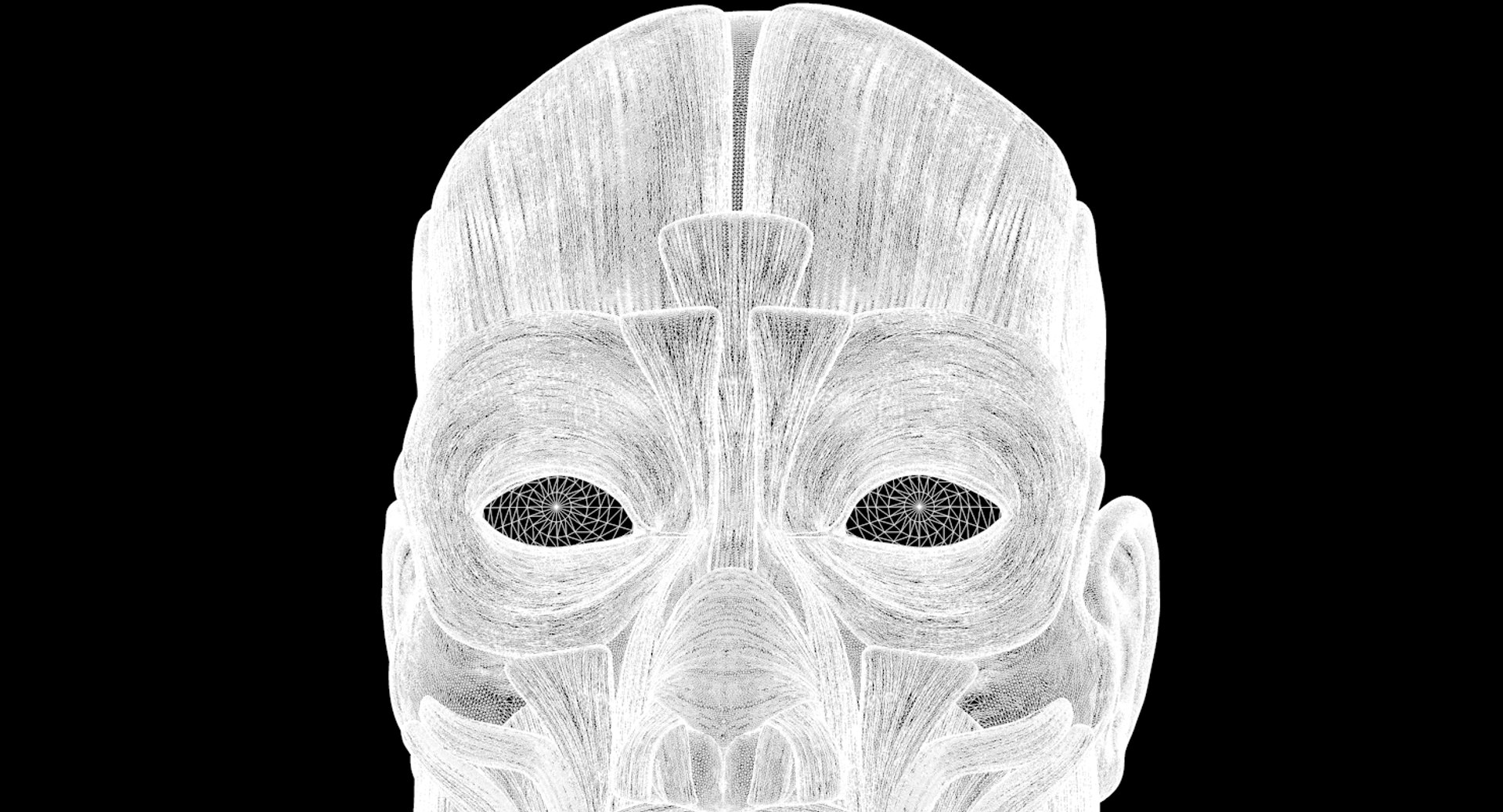 modeled muscles face anatomy 3D https://p.turbosquid.com/ts-thumb/Uo/Ui6HTQ/xGwdgjro/w4/png/1560428776/1920x1080/fit_q87/16bba34240a2124bc0b057824e86898724eef55b/w4.jpg