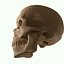 Full Head Muscle Anatomy