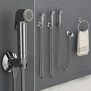 3D hygienic shower grohe tempesta-f
