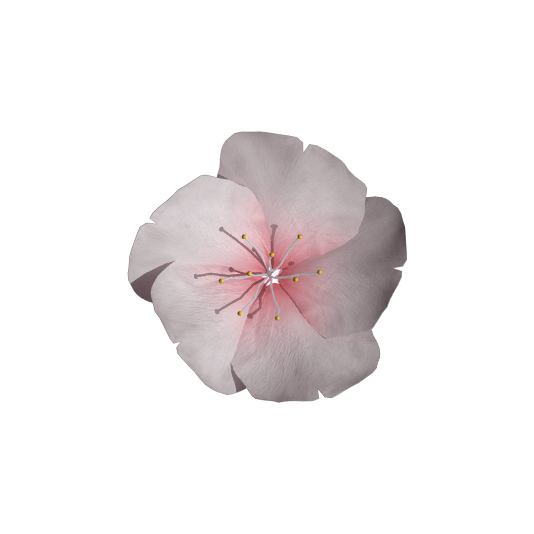 rigged sakura 3D https://p.turbosquid.com/ts-thumb/Uo/k6dk3E/HDKrONjB/top/png/1490907154/1920x1080/fit_q87/77e7070ed4ac572921eb1fc88b0c5e1c3dcae7e4/top.jpg