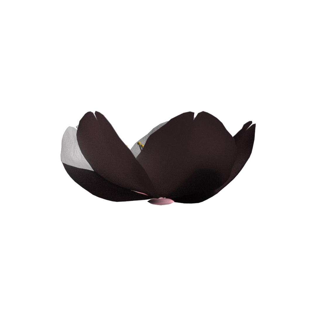 rigged sakura 3D https://p.turbosquid.com/ts-thumb/Uo/k6dk3E/os0vzf0z/side/png/1490907154/1920x1080/fit_q87/c5791e07f85f5ae96a5d2a508c3d66d33ab28611/side.jpg