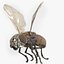 mosca doméstica