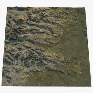 Mount St. Helens Area