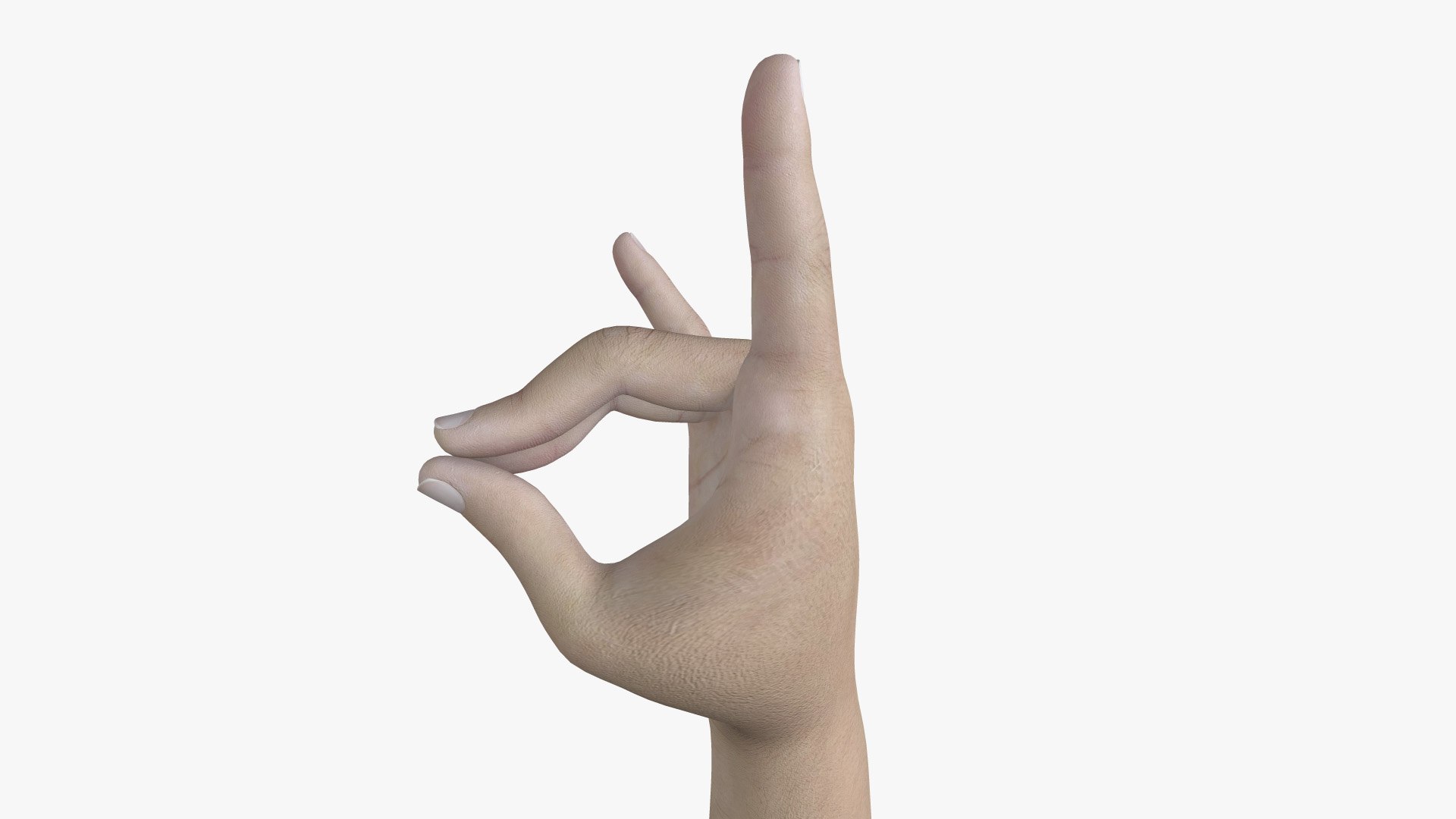 modelo 3d HND-018 Hand Animation - TurboSquid 1998919