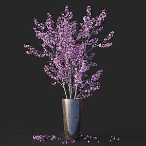Sakura in vase