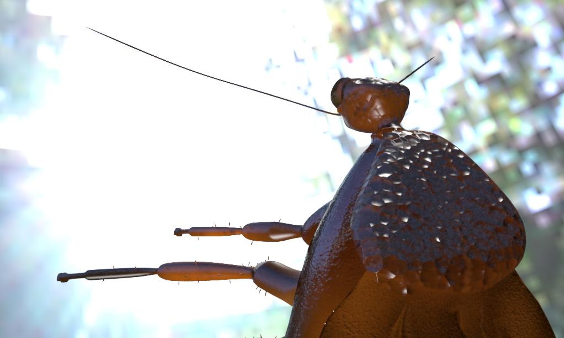 Cockroach Rigged 3d Model