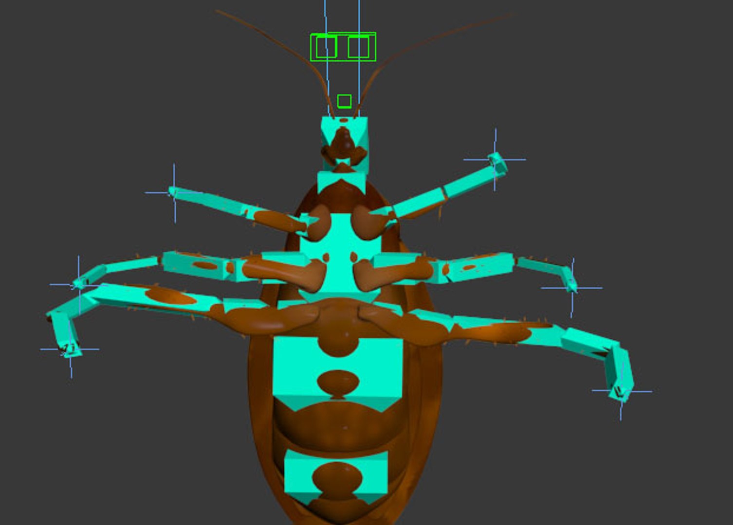 Cockroach Rigged 3d Model