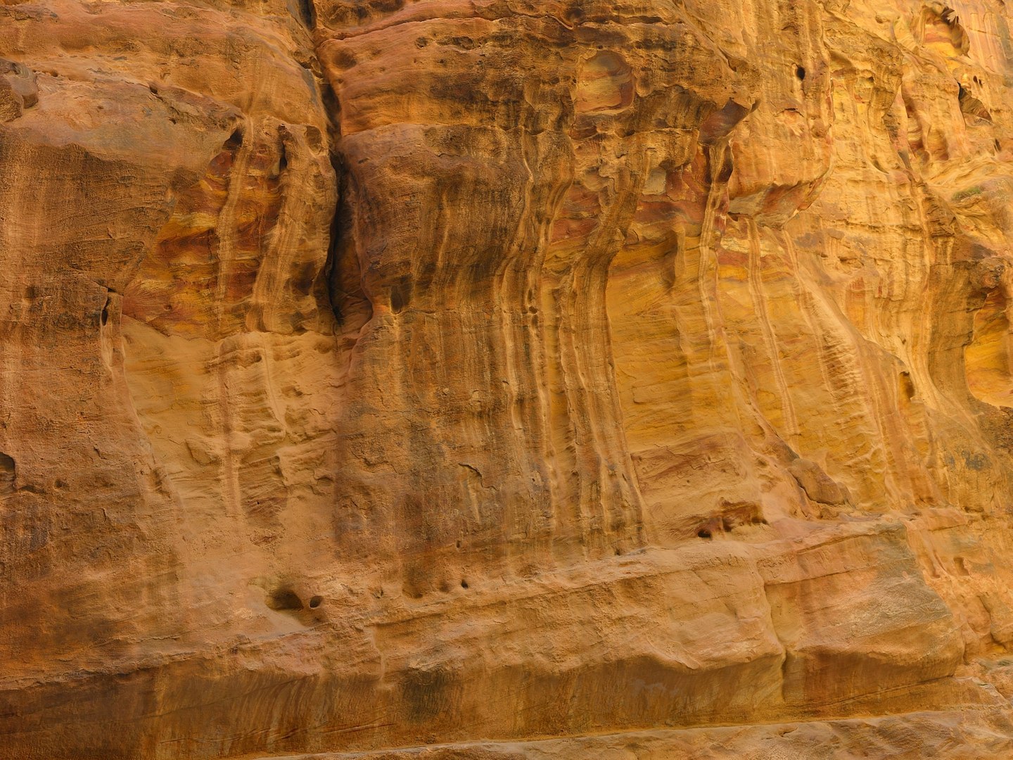 petra pack 14 scan 3D model https://p.turbosquid.com/ts-thumb/Up/9RYqgY/3NkJ0ghN/00/jpg/1550225377/1920x1080/fit_q87/d5361d22db1d3ecb173fbd8a549c95d440b8143a/00.jpg