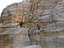 Petra Pack 14 Digitalizar Ultra HD