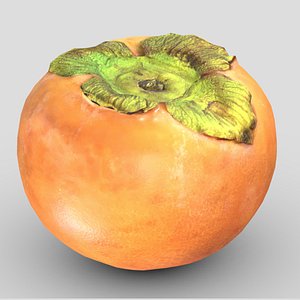 3D Persimmon Fruit Low Poly