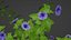 mur de fleurs 3d