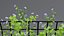mur de fleurs 3d