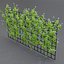 mur de fleurs 3d