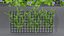 mur de fleurs 3d