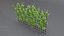 mur de fleurs 3d