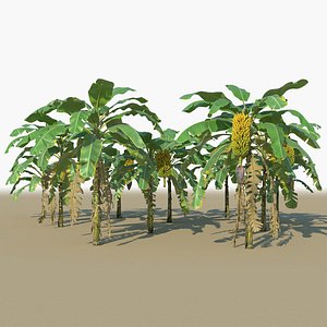 3D banana plants trees