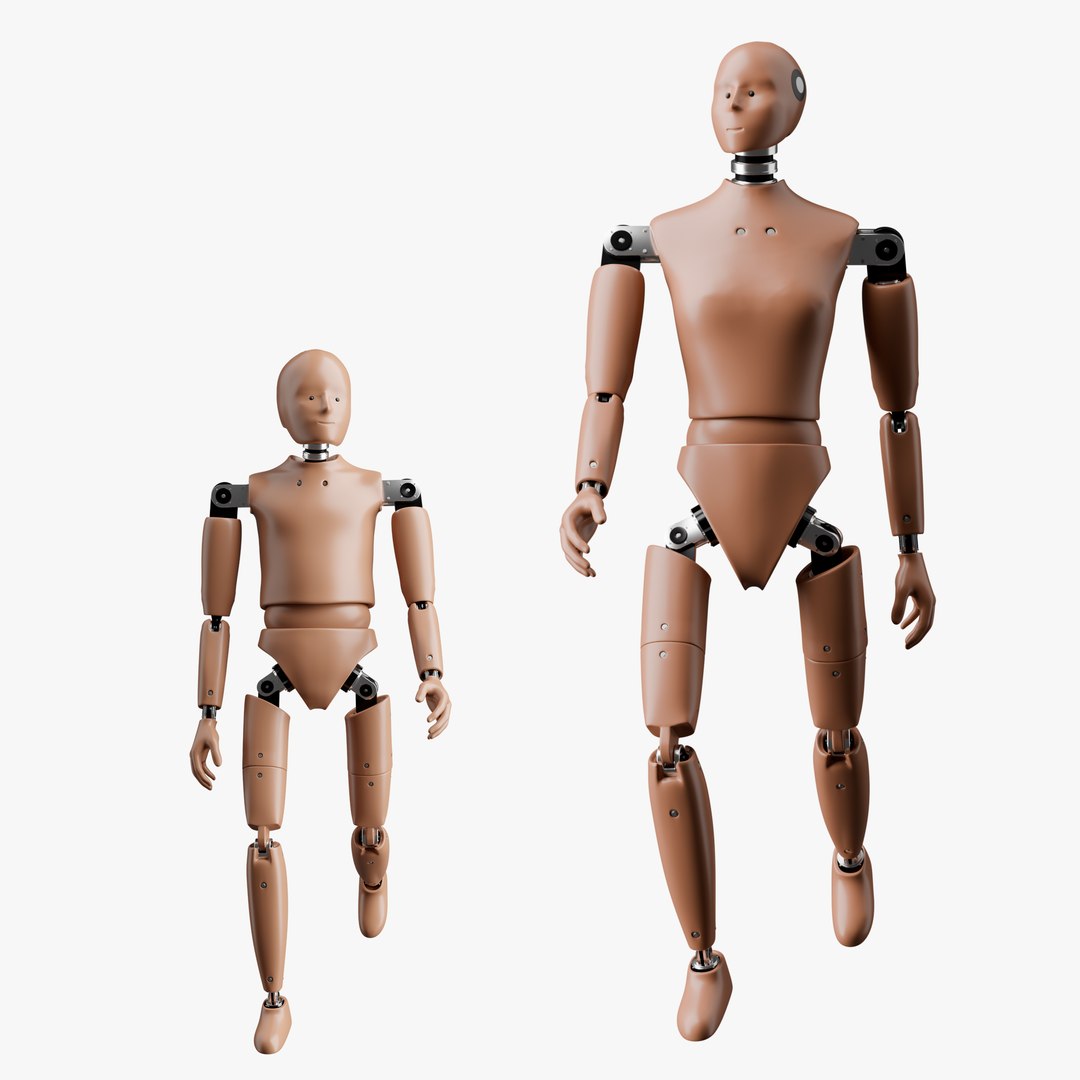 Rigged Crash Test Female and Child Dummy model https://p.turbosquid.com/ts-thumb/Up/d8ANmc/Cq/360posechild1/png/1709480922/1920x1080/fit_q87/864f7412bc7923c3625a39c0a85ffa07c6996bf2/360posechild1.jpg