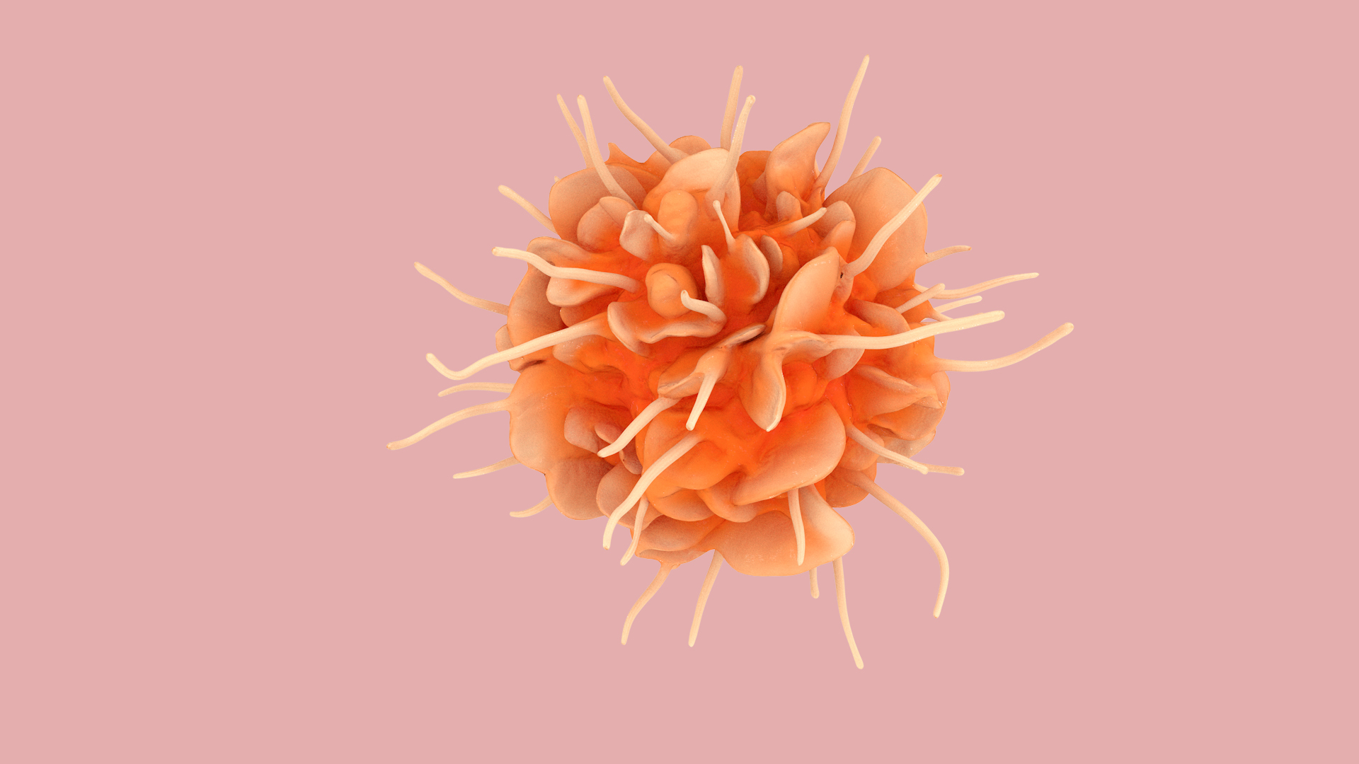 Dendritic Cell model https://p.turbosquid.com/ts-thumb/Up/dngAYB/1W/dendriticcell360/jpg/1713304386/1920x1080/turn_fit_q99/1db523f5597af79996f2d1a26742f8f580444c25/dendriticcell360-1.jpg