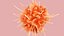 Dendritic Cell