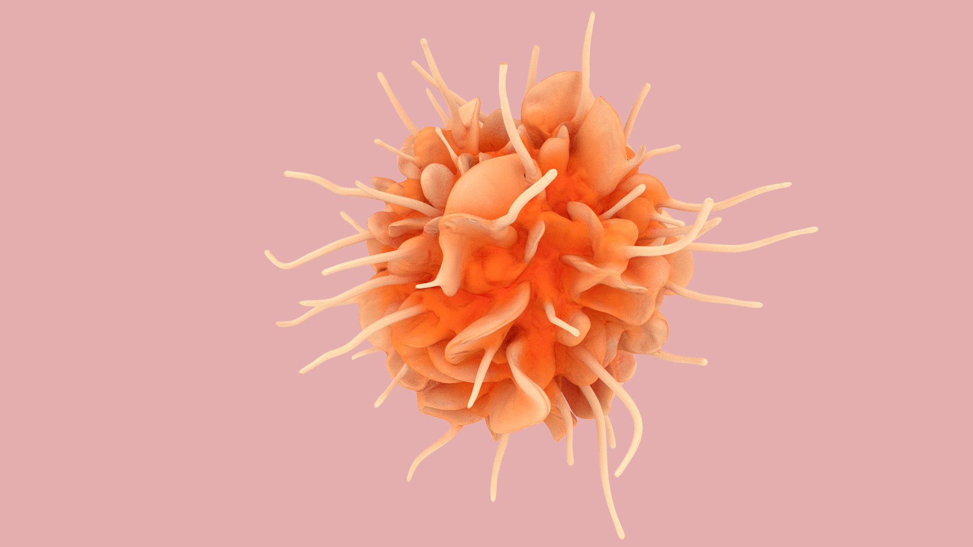 Dendritic Cell model https://p.turbosquid.com/ts-thumb/Up/dngAYB/86/dendriticcell_0007/jpg/1713304936/1920x1080/fit_q87/a546d6a1ec006652ee3c7576a7ecd5d7afbd7c92/dendriticcell_0007.jpg