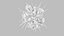Dendritic Cell