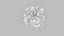 Dendritic Cell