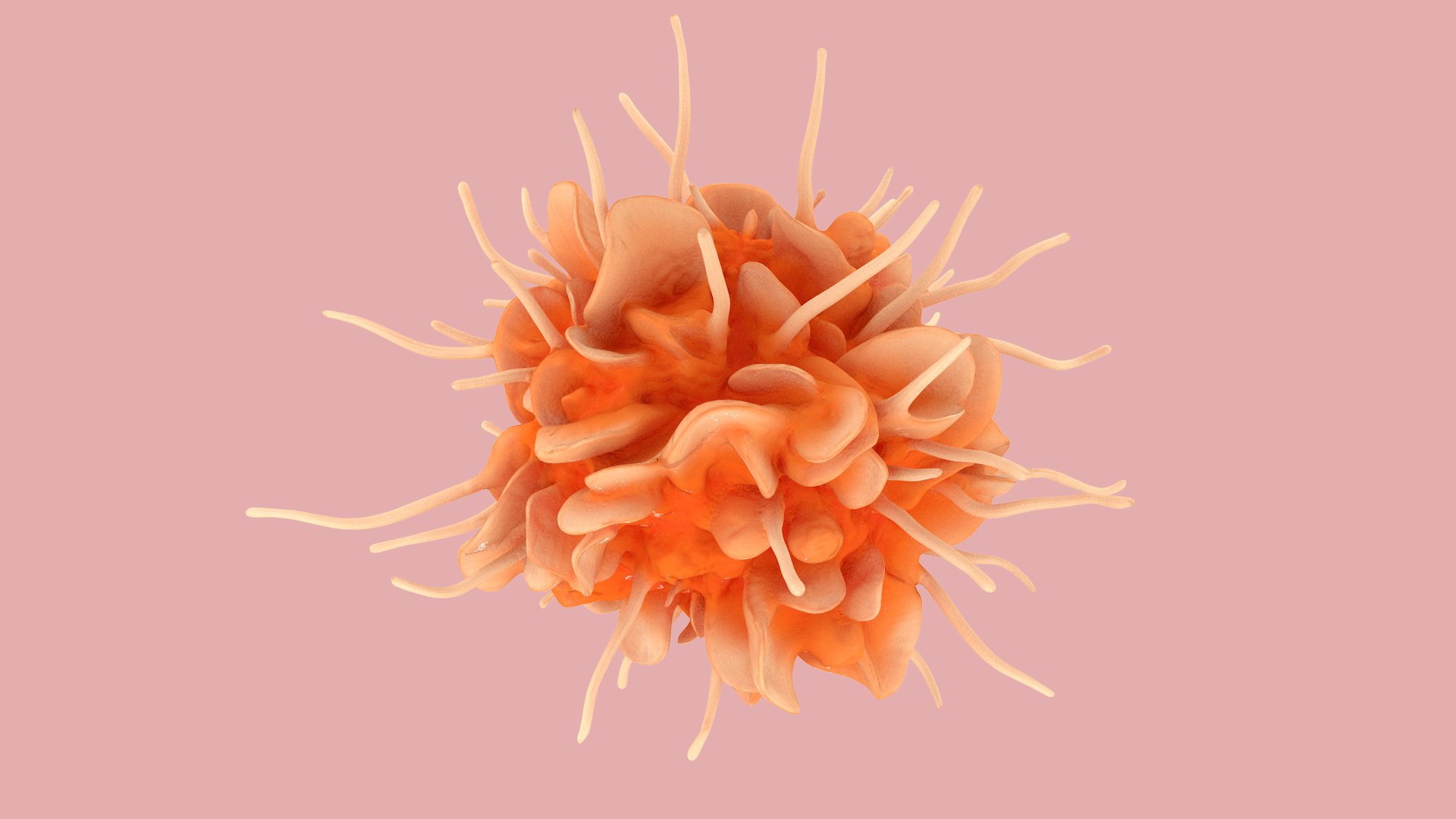 Dendritic Cell model https://p.turbosquid.com/ts-thumb/Up/dngAYB/QL/dendriticcell_0002/jpg/1713304939/1920x1080/fit_q87/f08c73fe7a845ecdad321dbe6e9d8a2dc79dbe4e/dendriticcell_0002.jpg