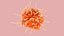 Dendritic Cell