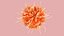Dendritic Cell