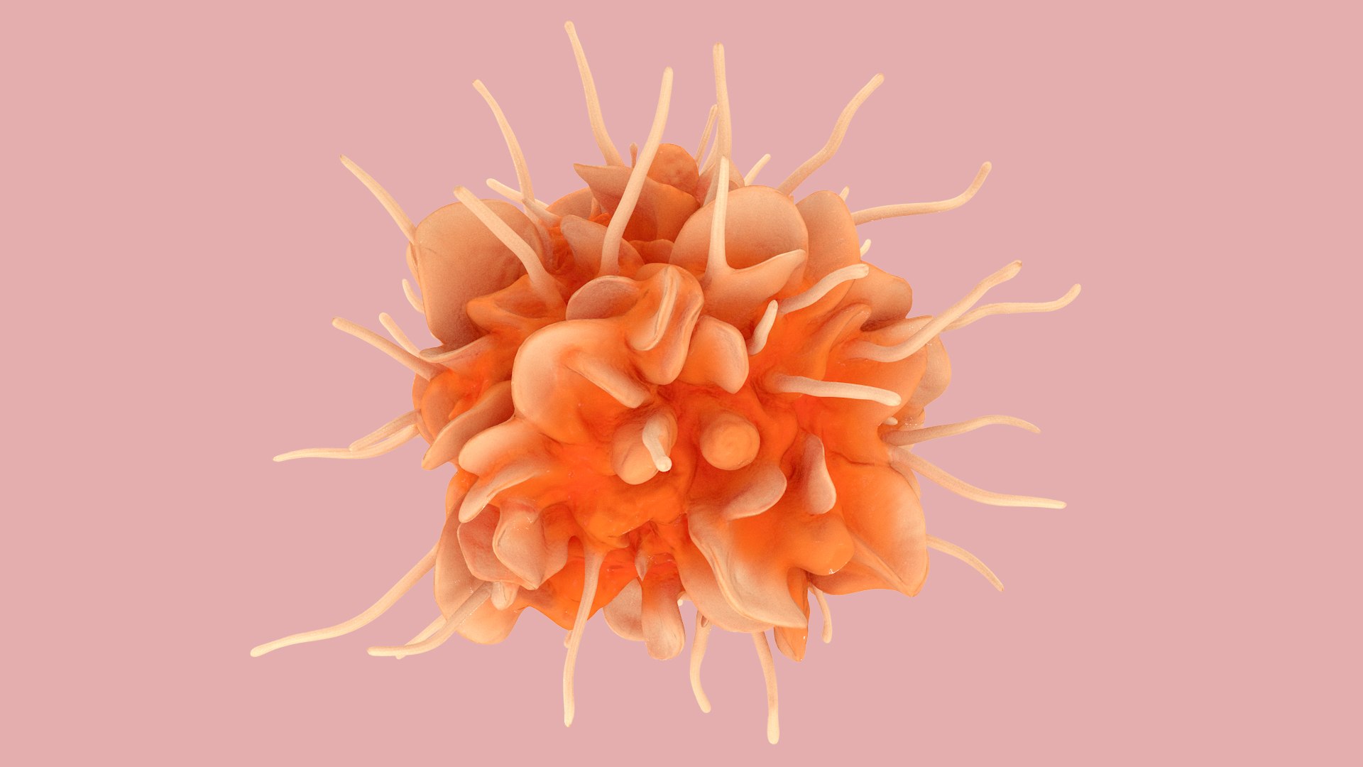 Dendritic Cell model https://p.turbosquid.com/ts-thumb/Up/dngAYB/W3/dendriticcell_0016/jpg/1713304930/1920x1080/fit_q87/be2f9bc5bcefa90c6b37a8aa6c843a14b8c2c13e/dendriticcell_0016.jpg