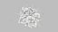 Dendritic Cell