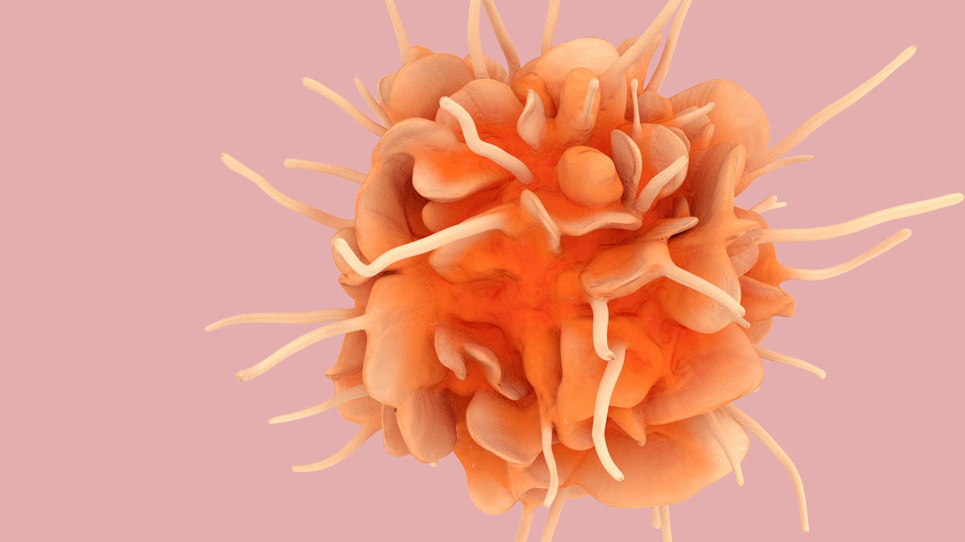 Dendritic Cell model https://p.turbosquid.com/ts-thumb/Up/dngAYB/ae/dendriticcell_0008/jpg/1713304936/1920x1080/fit_q87/b8a76b25a6c679acd1a3cbe27e9e4a92d0fc2d7d/dendriticcell_0008.jpg