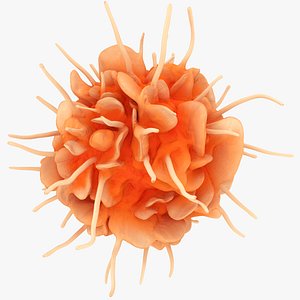 Dendritic Cell model