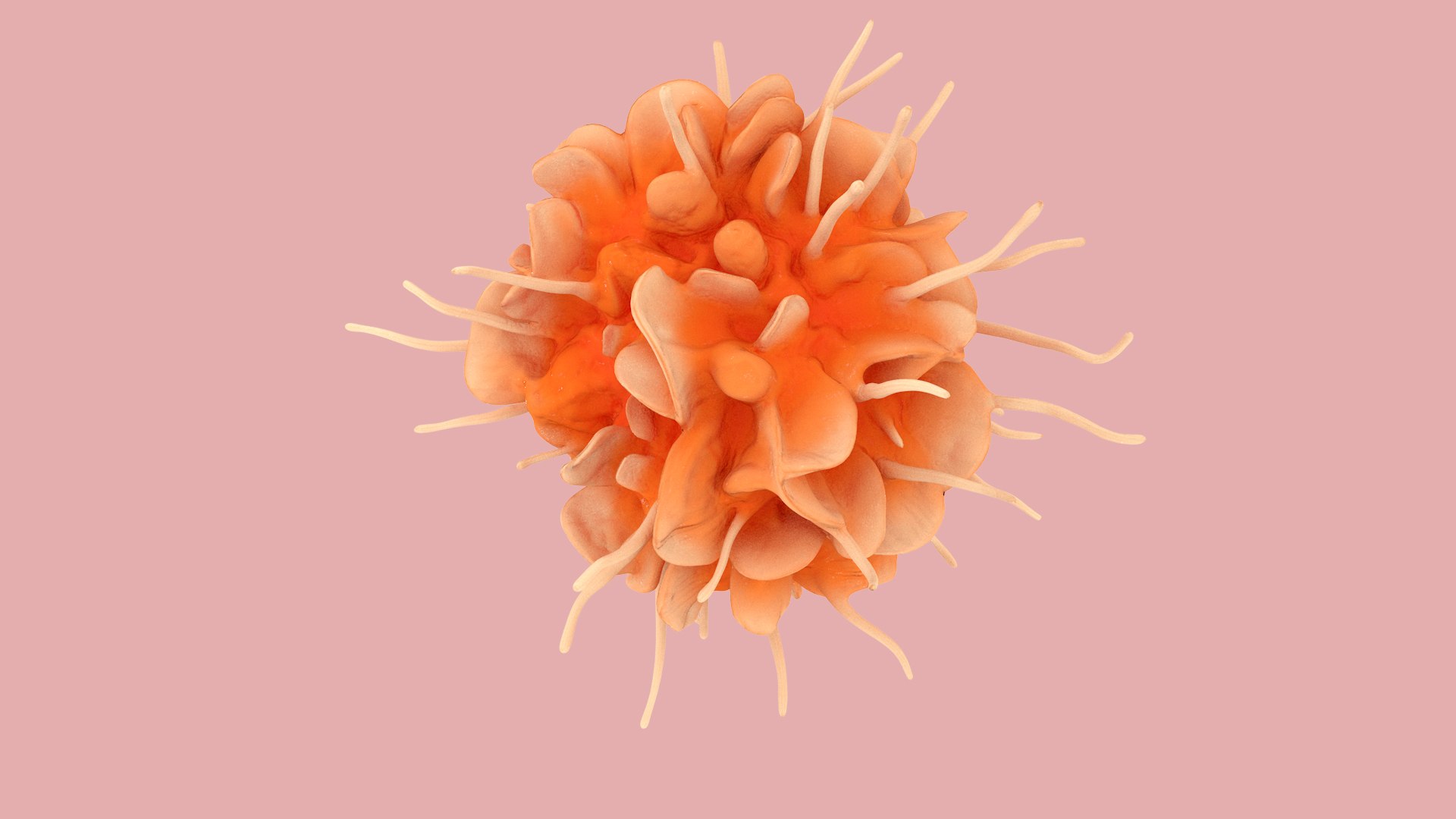 Dendritic Cell model https://p.turbosquid.com/ts-thumb/Up/dngAYB/bl/dendriticcell_0005/jpg/1713304937/1920x1080/fit_q87/0296ec22585d93b97078aef76bdf9e7e8d4f2a5c/dendriticcell_0005.jpg