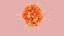 Dendritic Cell
